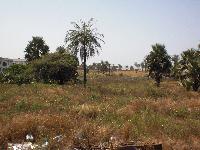 Land for sale at Labakoreh